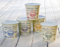 MOI_Bellwether_Yogurt