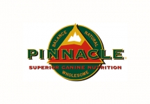 pinnacle-logo